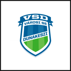 VSD_logo